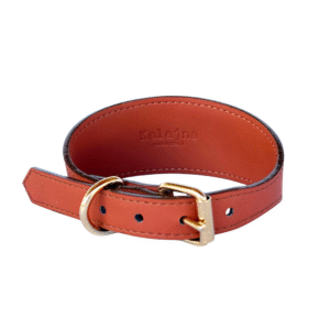 Ogrlica za pse Konjak